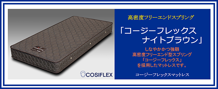 01-001COSI バナー-730