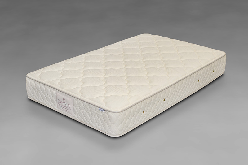 1点ものパピルス画像01