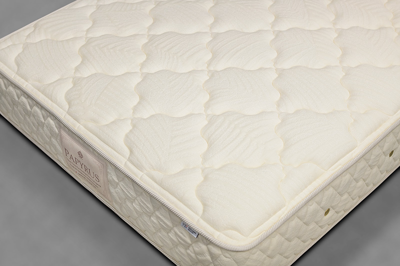 1点ものパピルス画像02