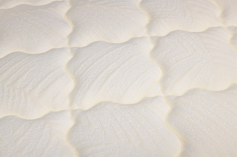 1点ものパピルス画像03