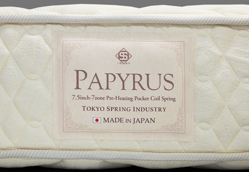 1点ものパピルス画像04