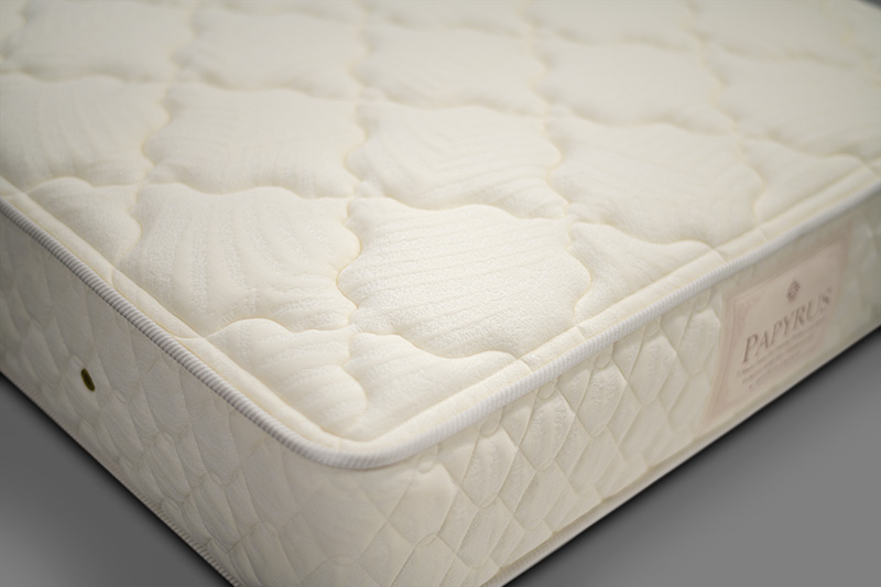 1点ものパピルス画像05