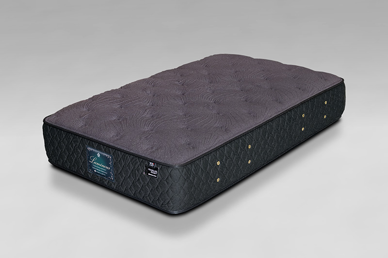 1点ものルミナス　画像01