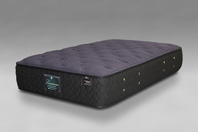 1点ものルミナス　画像07