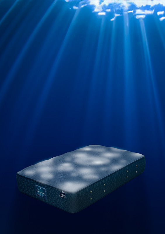 1点ものルミナス画像020-1