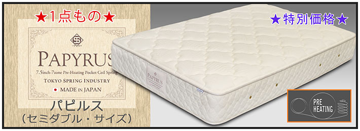 1点ものパピルスバナー