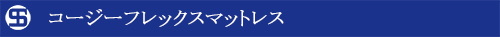 クラス題字-コージーフレックス-500